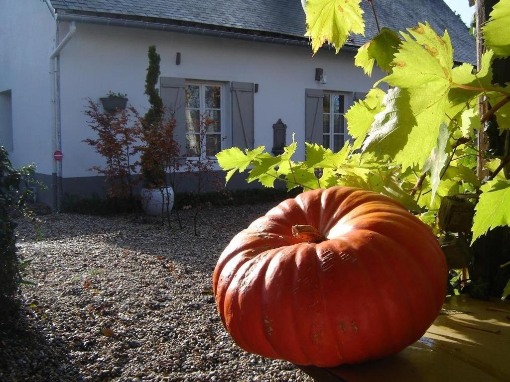 Gite Cottage D'Hamicourt Aux Portes De La Baie De Somme Exteriér fotografie